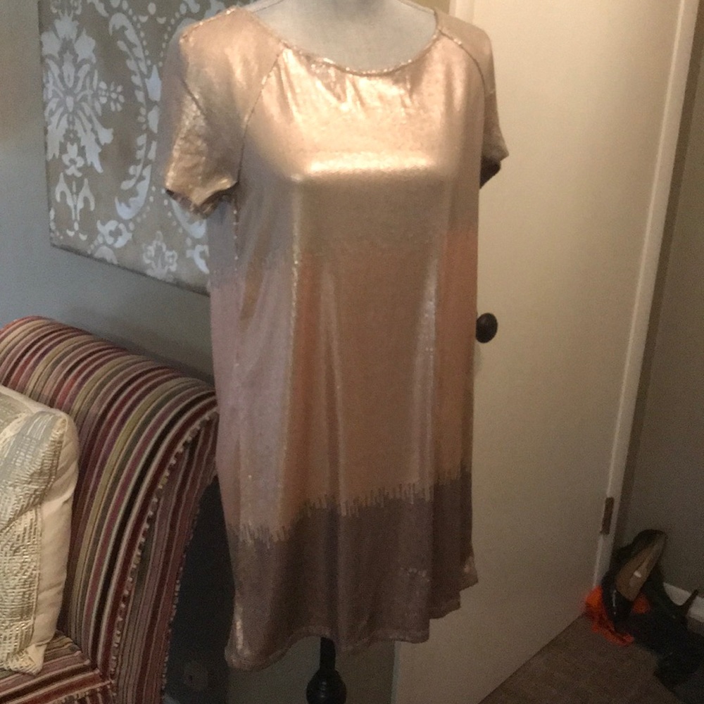 Free people sequined dress